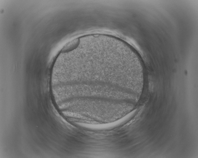 X0000060791504200512082111