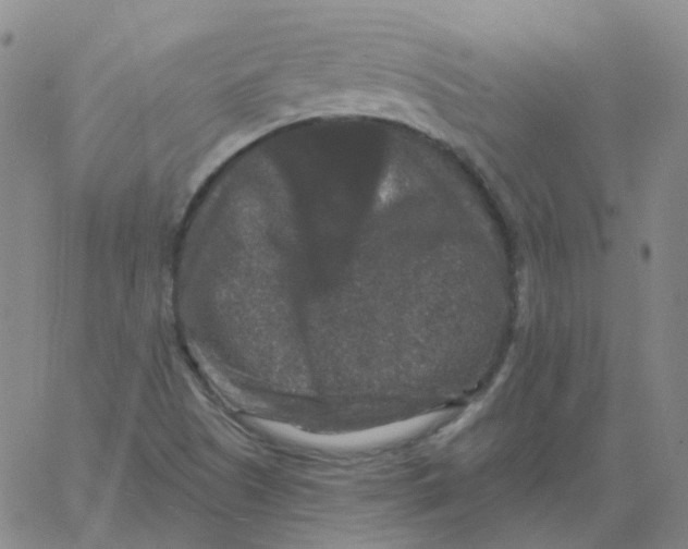 X0000060791505200512082111