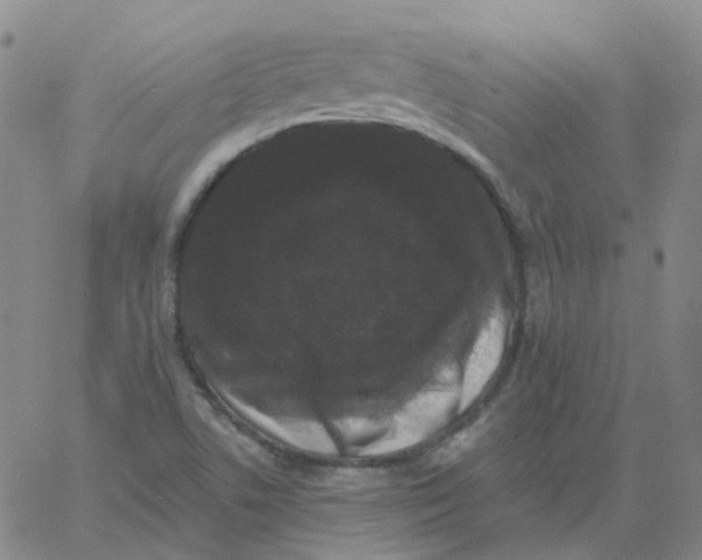 X0000060791506200512082111