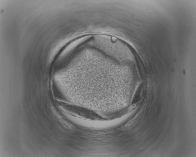 X0000060791507200512082111