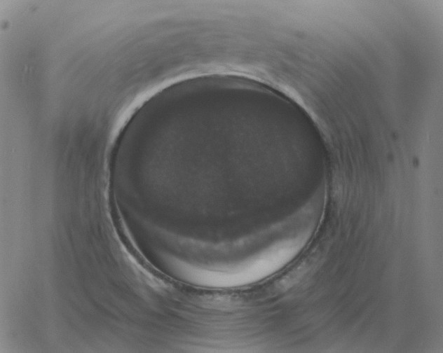 X0000060791508200512082111