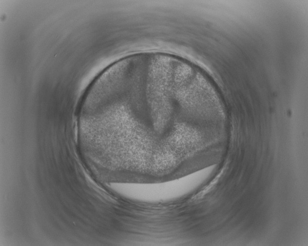 X0000060791509200512082111