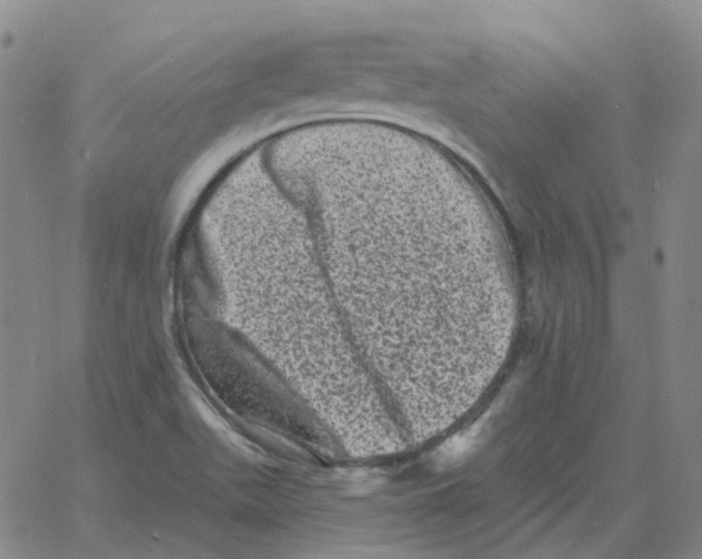 X0000060791511200512082111