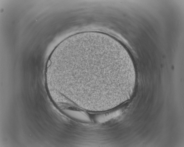 X0000060791512200512082111