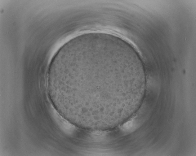 X0000060791514200512082111