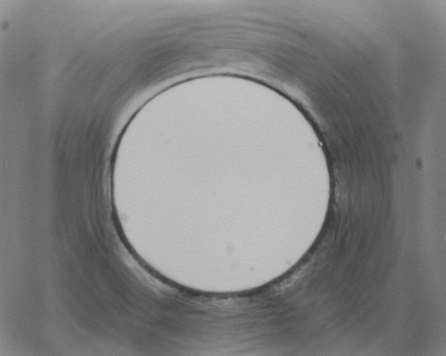 X0000060791516200512082111