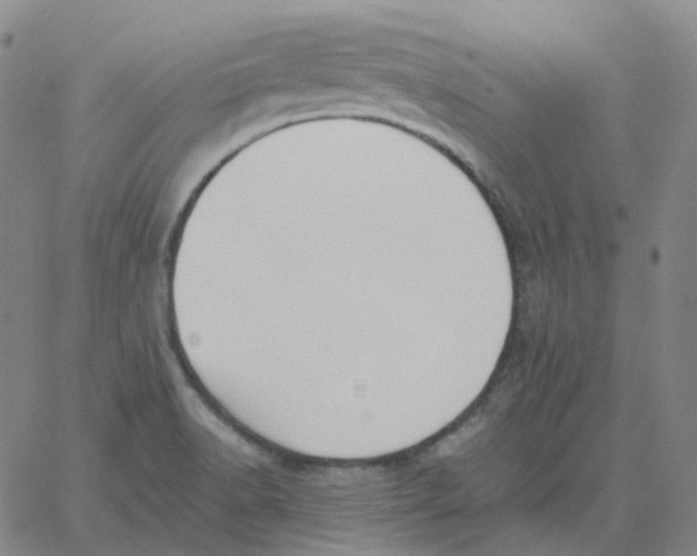 X0000060791518200512082111