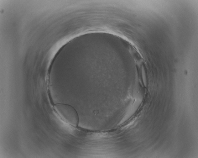 X0000060791519200512082111