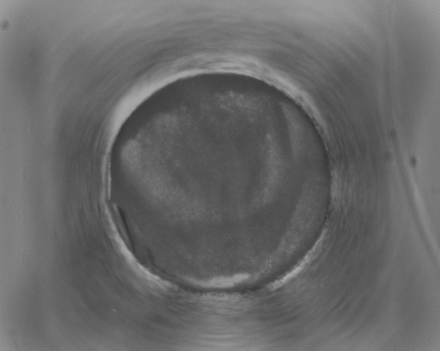 X0000060791520200512082111