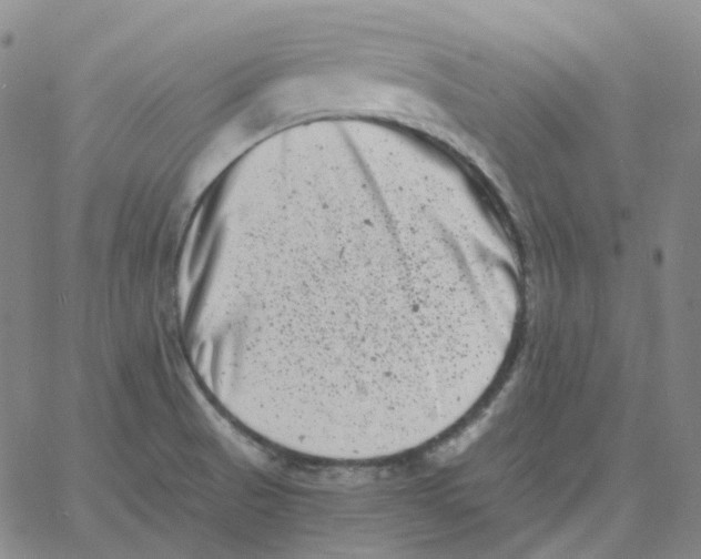 X0000060791521200512082111