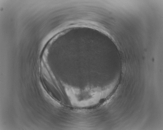 X0000060791522200512082111