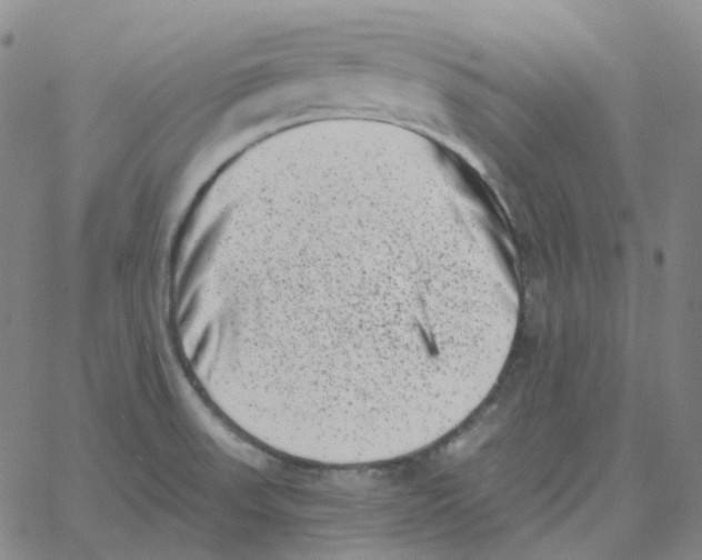 X0000060791523200512082111