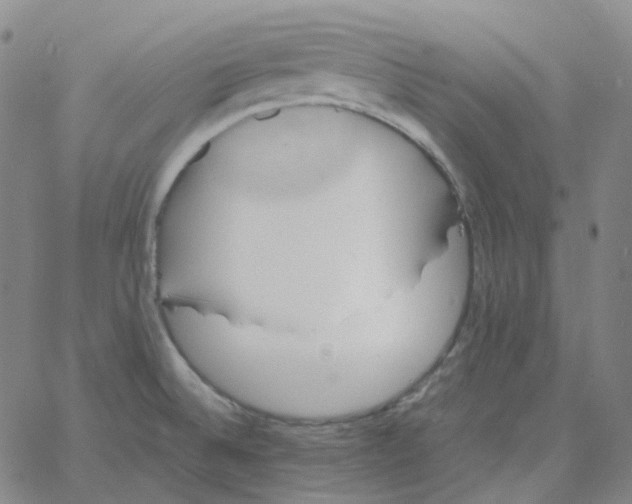 X0000060791524200512082111