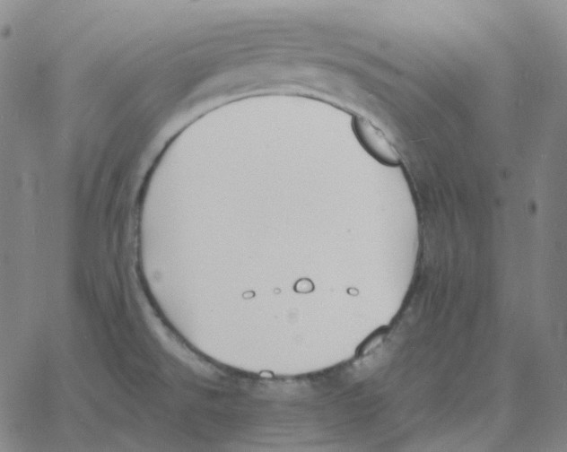 X0000060791526200512082111