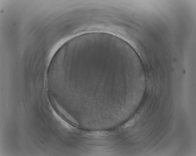 X0000060791527200512082111