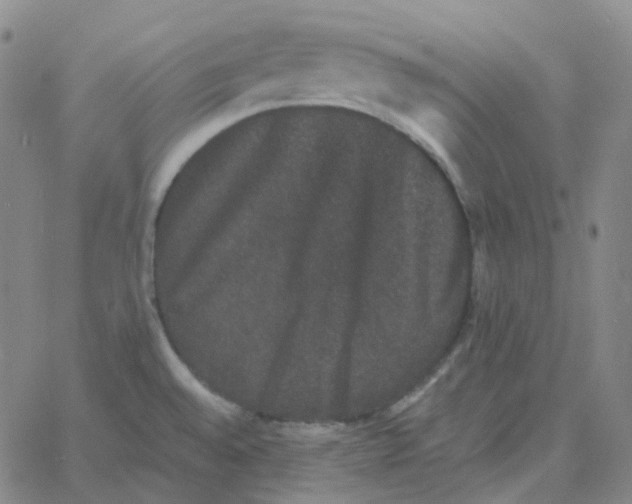 X0000060791528200512082111