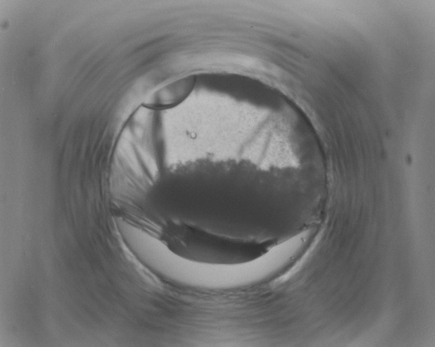 X0000060791529200512082111