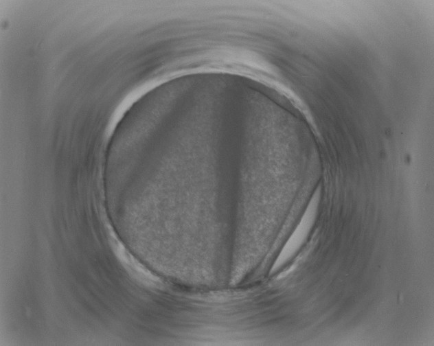 X0000060791530200512082111