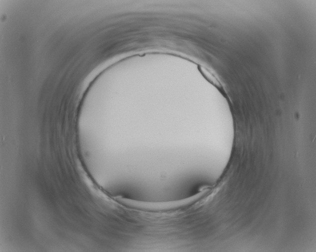 X0000060791534200512082111