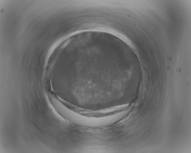 X0000060791536200512082111