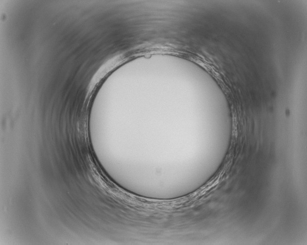 X0000060800004200511101022