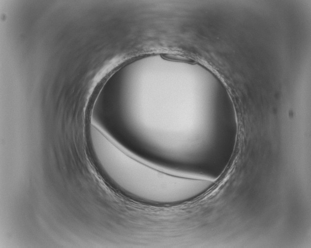 X0000060800008200511101022