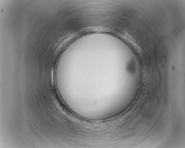 X0000060800014200511101022