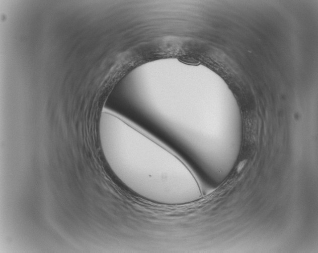 X0000060800035200511101021