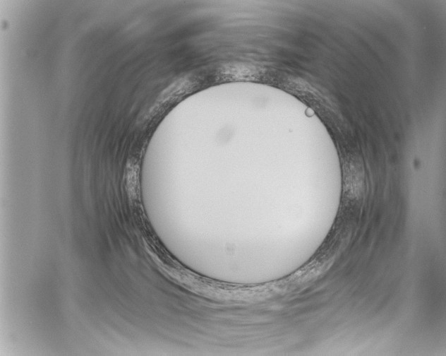 X0000060800036200511101021