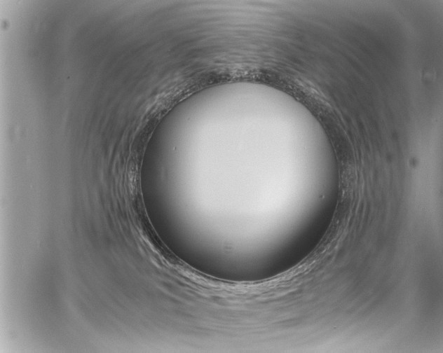 X0000060800039200511101021