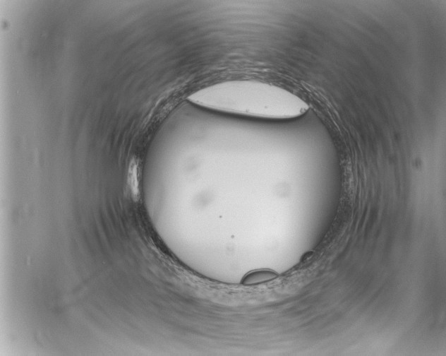 X0000060800042200511101021