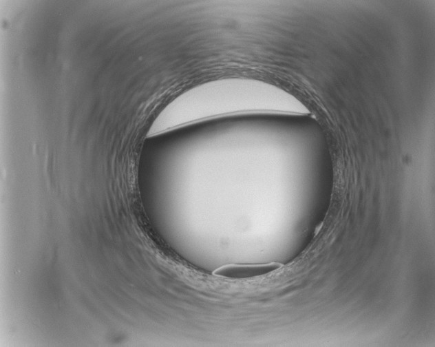 X0000060800043200511101021