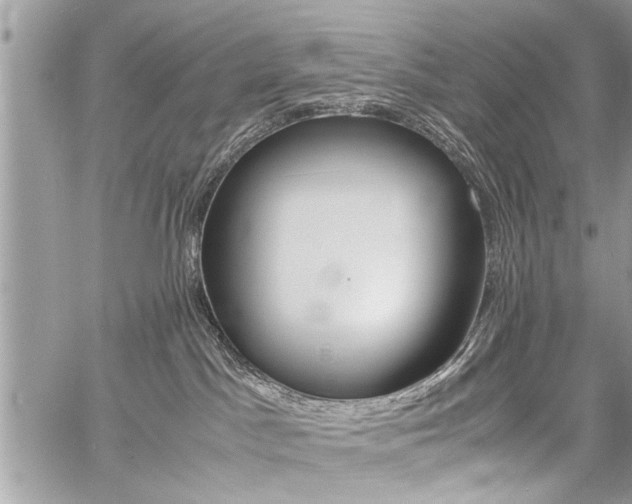 X0000060800045200511101021