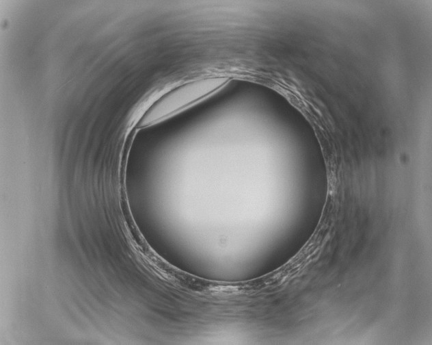 X0000060800052200511101021