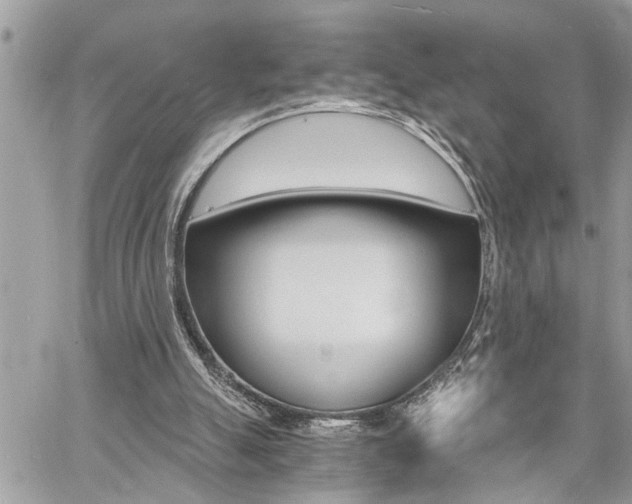 X0000060800055200511101021