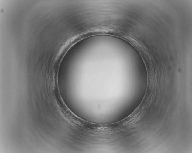 X0000060800064200511101021