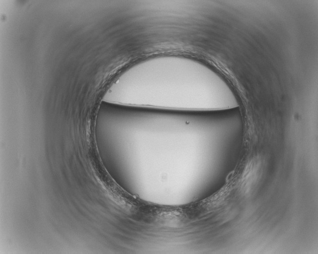 X0000060800066200511101021