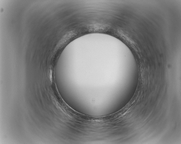 X0000060800067200511101021