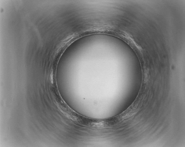 X0000060800068200511101021