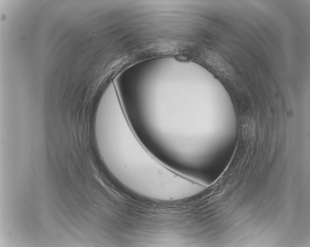 X0000060800072200511101021