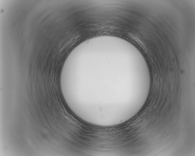 X0000060800077200511101021