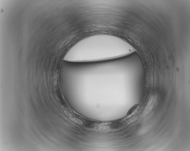 X0000060800078200511101021