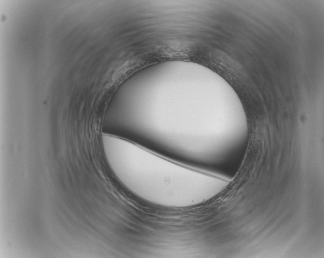 X0000060800084200511101021