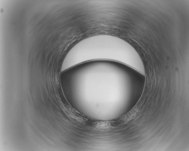 X0000060800088200511101021