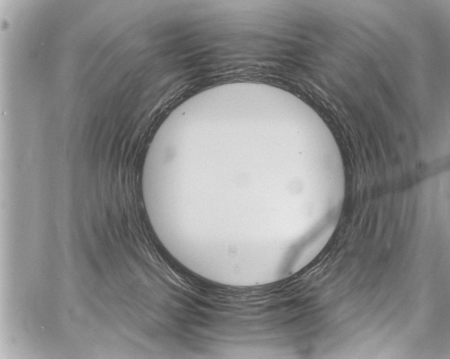 X0000060800091200511101021