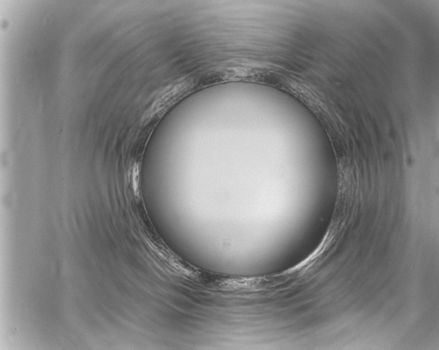 X0000060800094200511101021