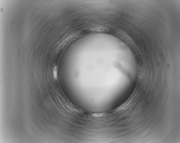 X0000060800095200511101021