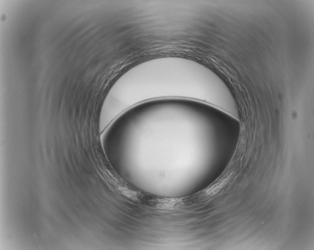 X0000060800096200511101021