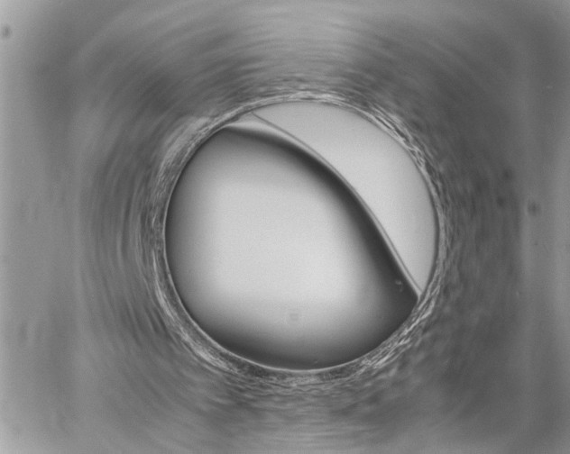 X0000060800097200511101020