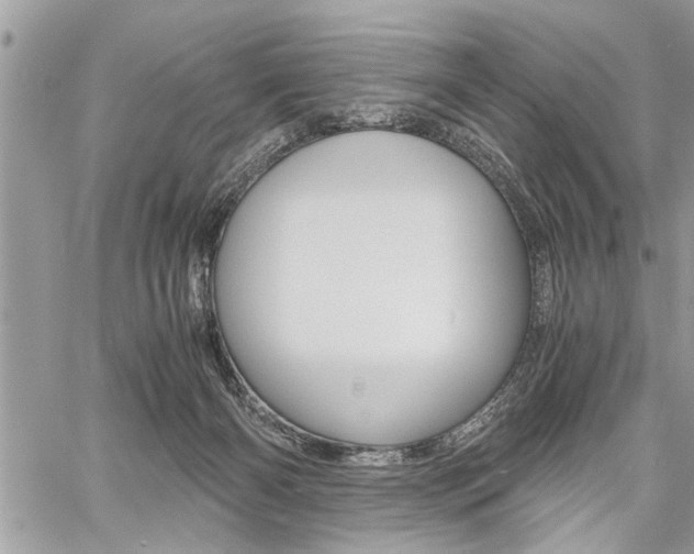 X0000060800126200511101020